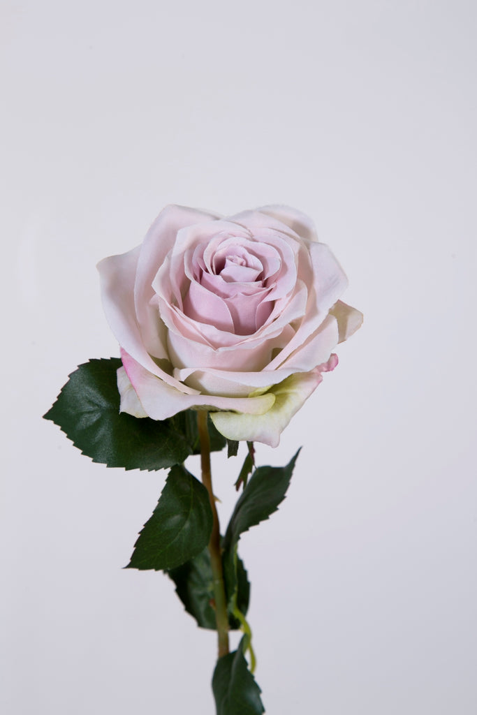 Zijdebloemen en planten Rose Stem Lavendel roos
