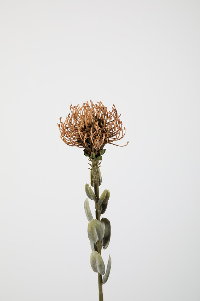 Zijdebloemen en planten Small Protea Spray