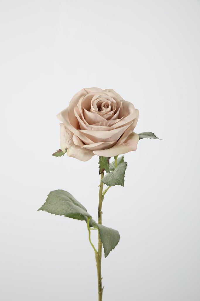 Zijdebloemen en planten Rose stem Roos